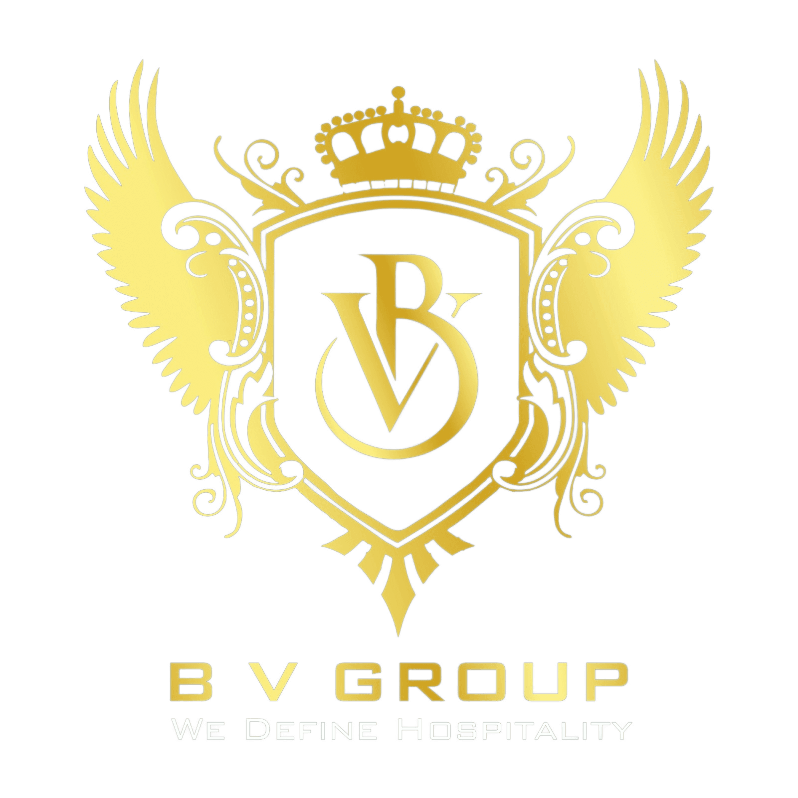 B V Group Logo