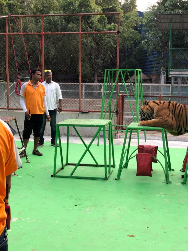 Film crew setting up equipment for night shoot